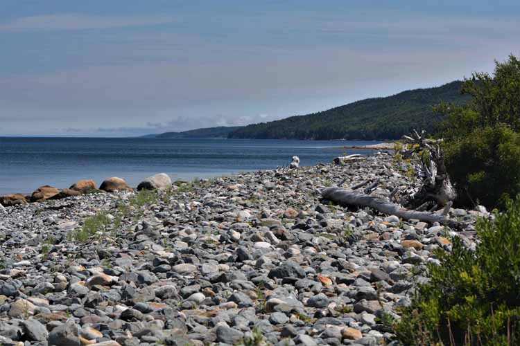 rocky beach